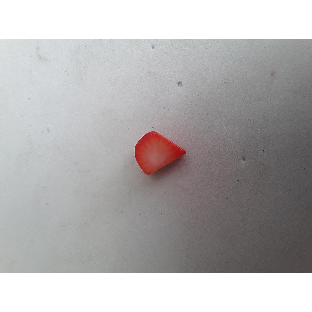 PIEDRA CORAL