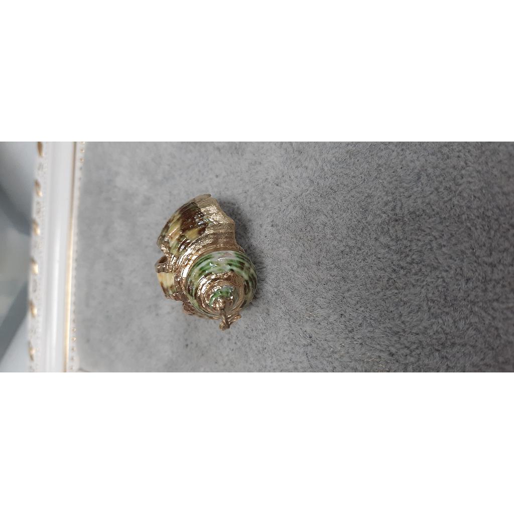 CONCHA DE CARACOL 