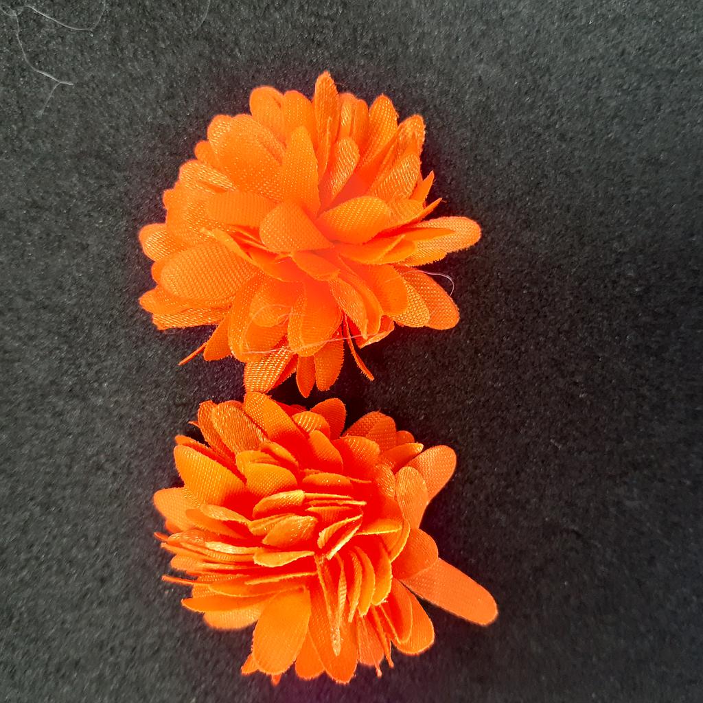 FLORES 