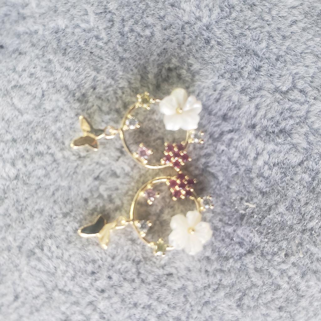 ARETES PLATA