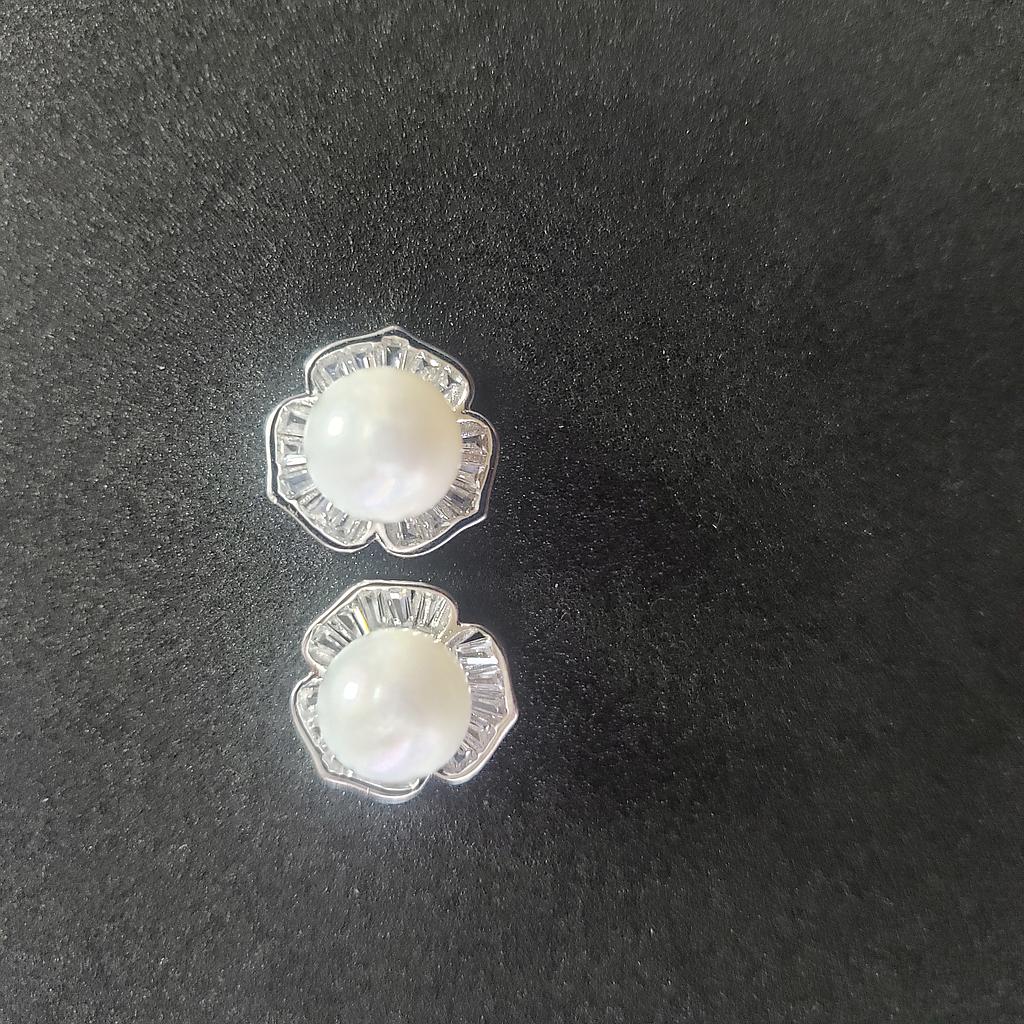 ARETES PLATA