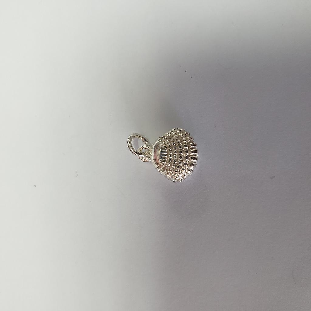 DIJE CONCHA BRASS