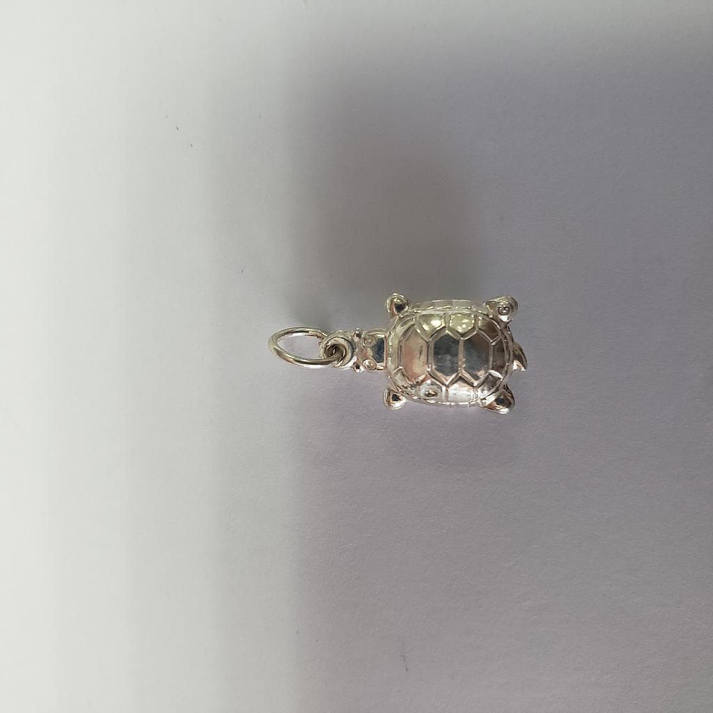 DIJE TORTUGA