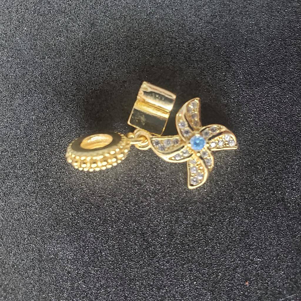 CHARM