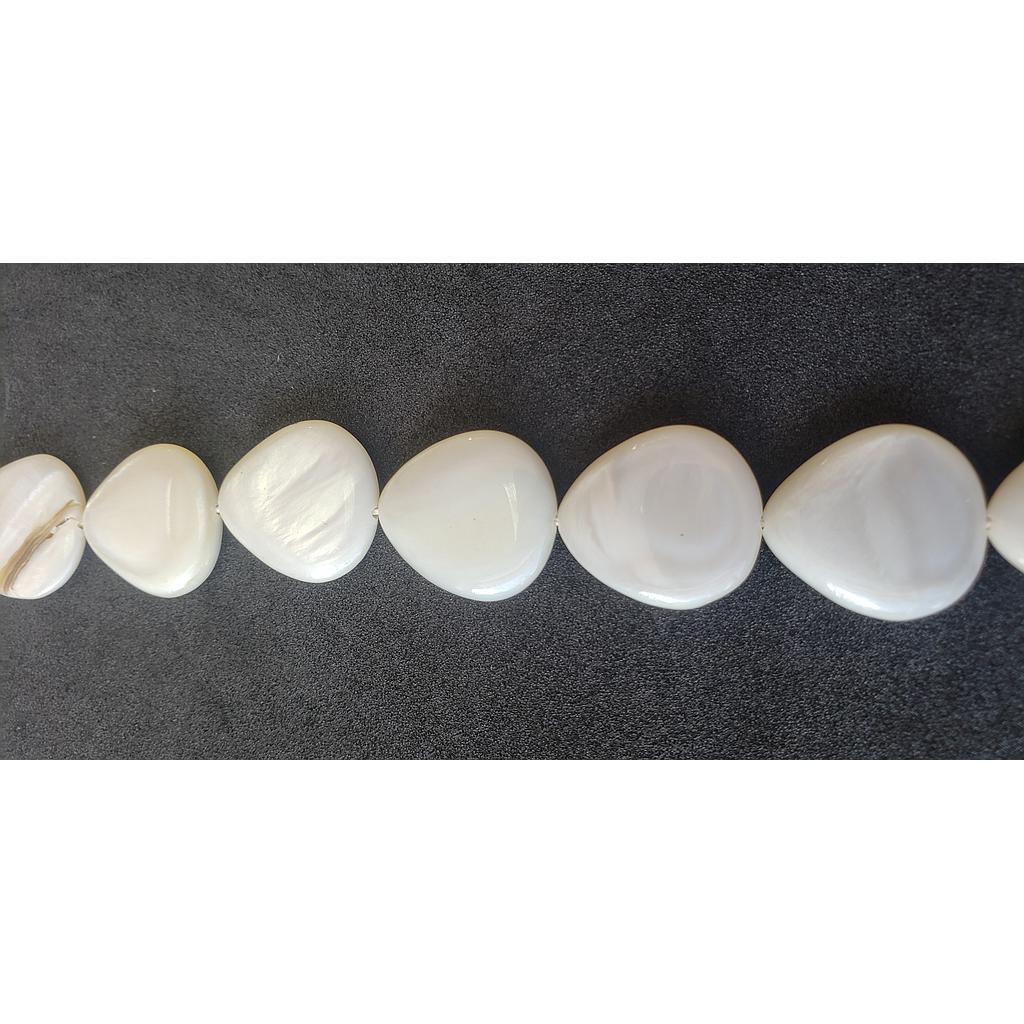 PIEDRAS CONCHAS NACAR 