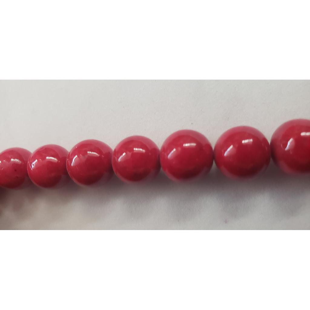 PIEDRAS FOSIL