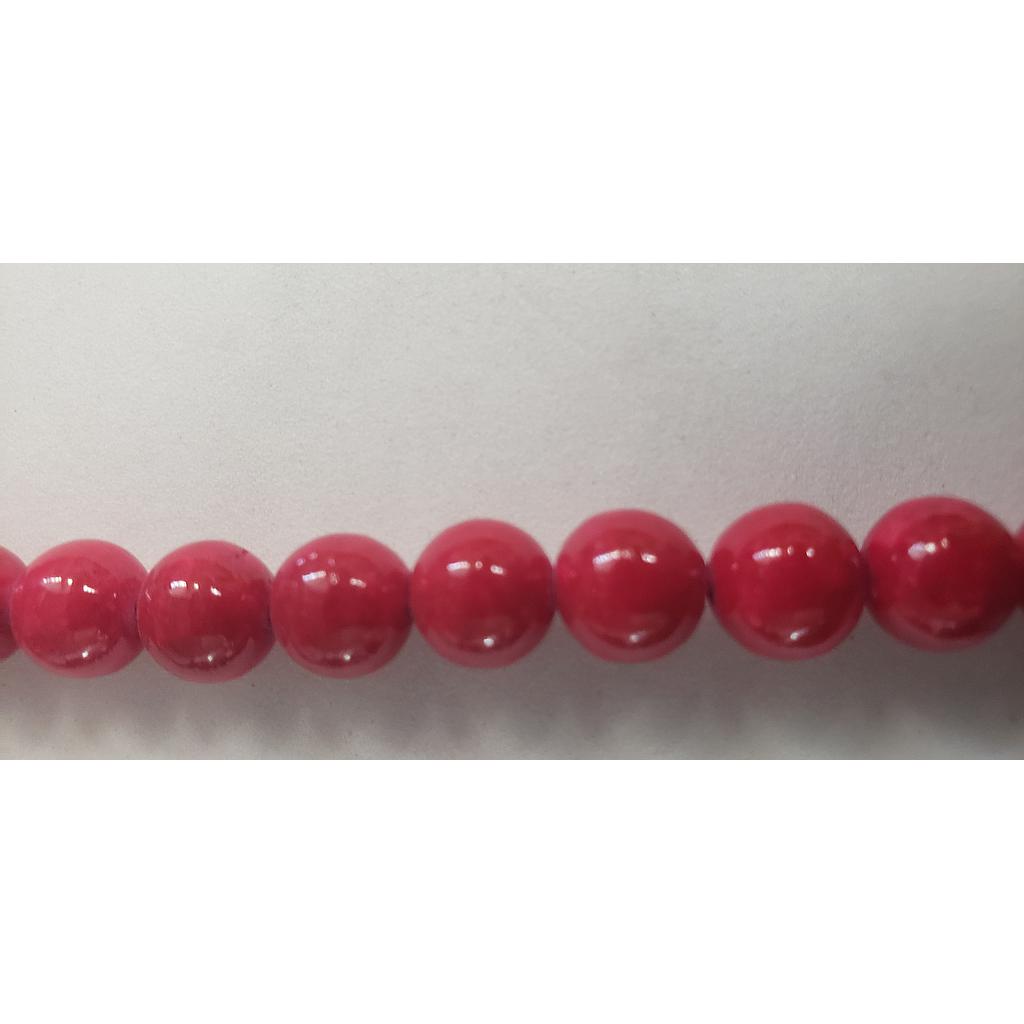 PIEDRAS FOSIL
