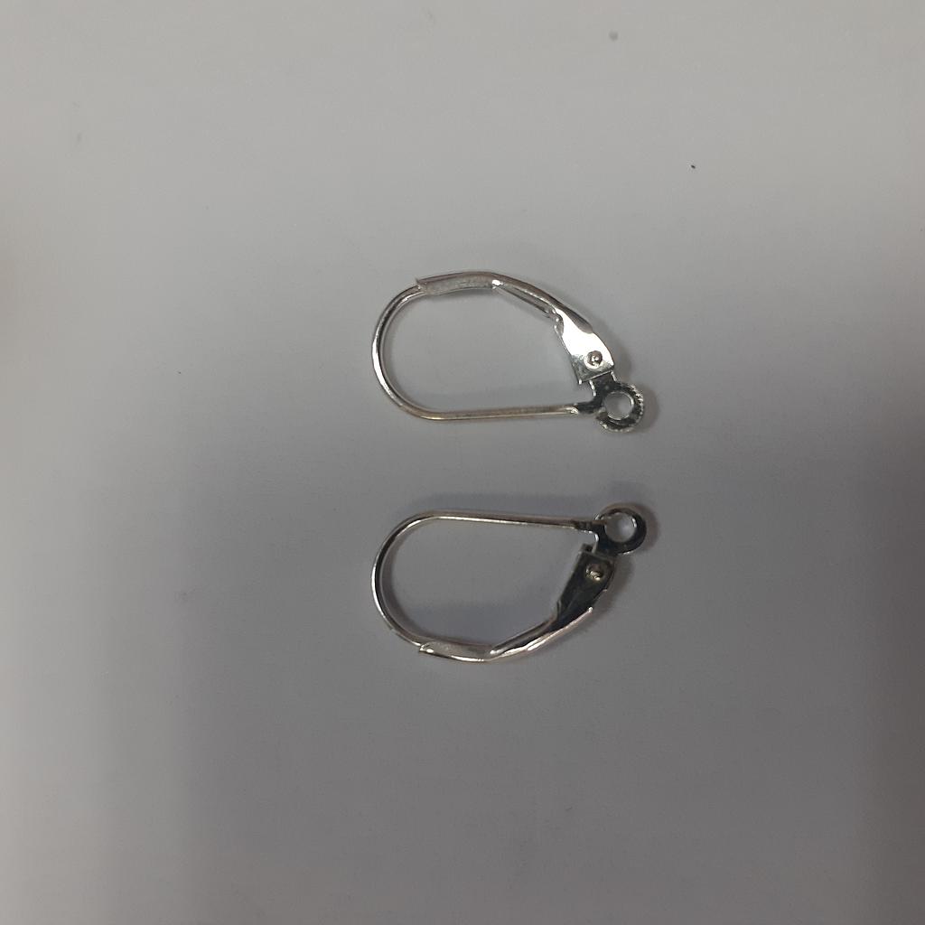 PATENTE OVALADA DE PLATA 925