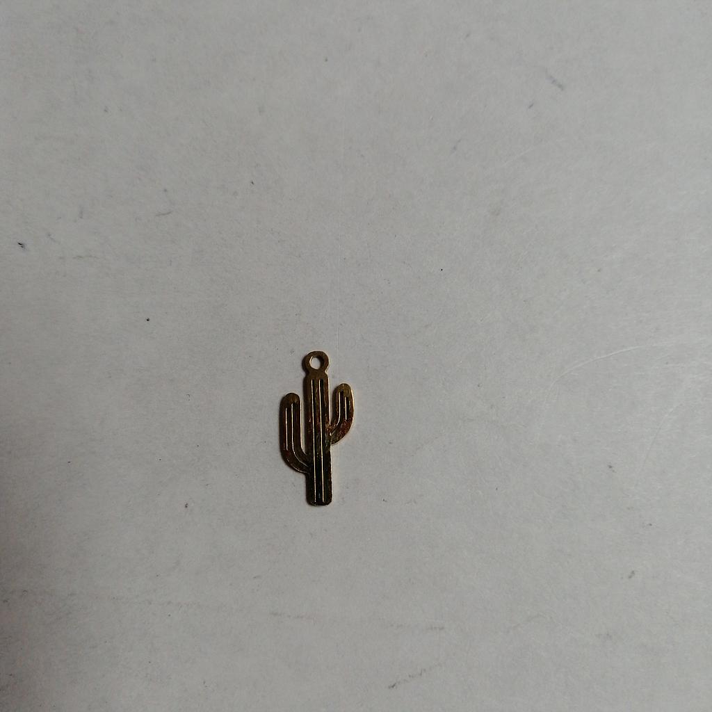 DIJE CACTUS