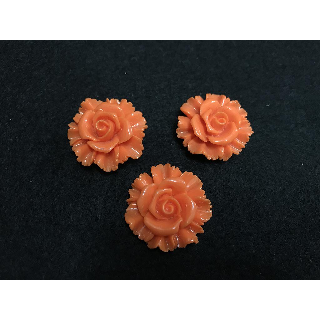 FLORES ANARANJADAS