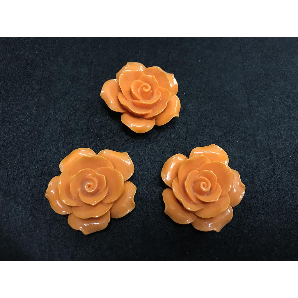 FLORES ANARANJADAS