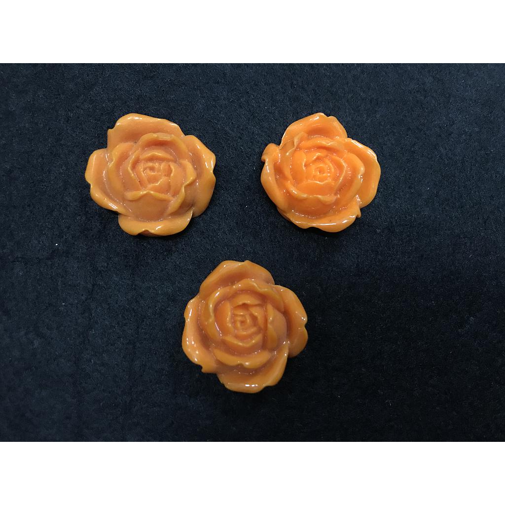 FLORES ANARANJADAS