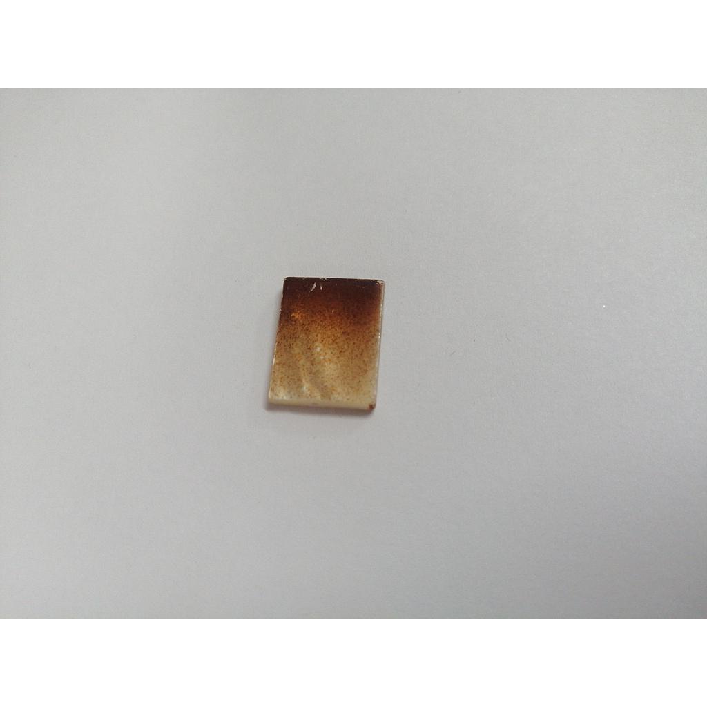 CONCHA NACAR 15X20MM