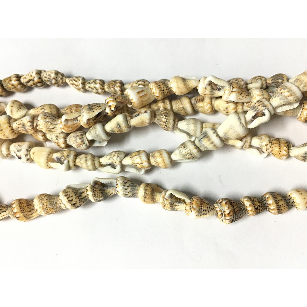 CONCHA NACAR CARACOLES RISTRA 190PCS APROX.