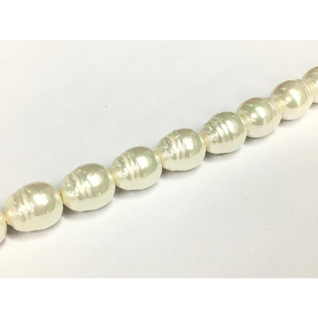 MADRE PERLA 10X12MM