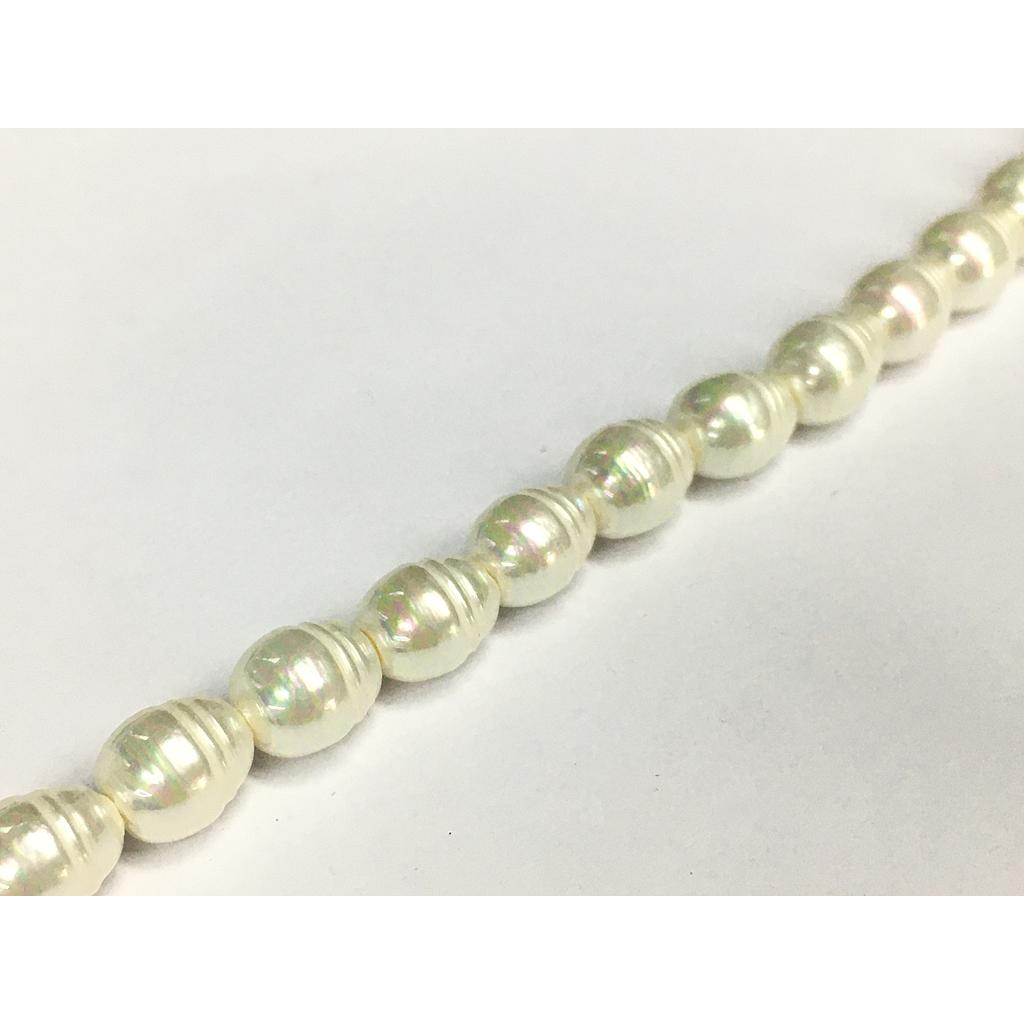 MADRE PERLA 8X12MM