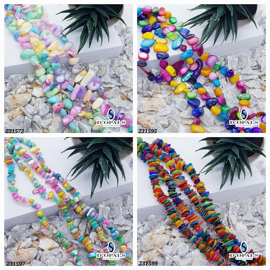 CONCHA NACAR CHIP MULTICOLOR