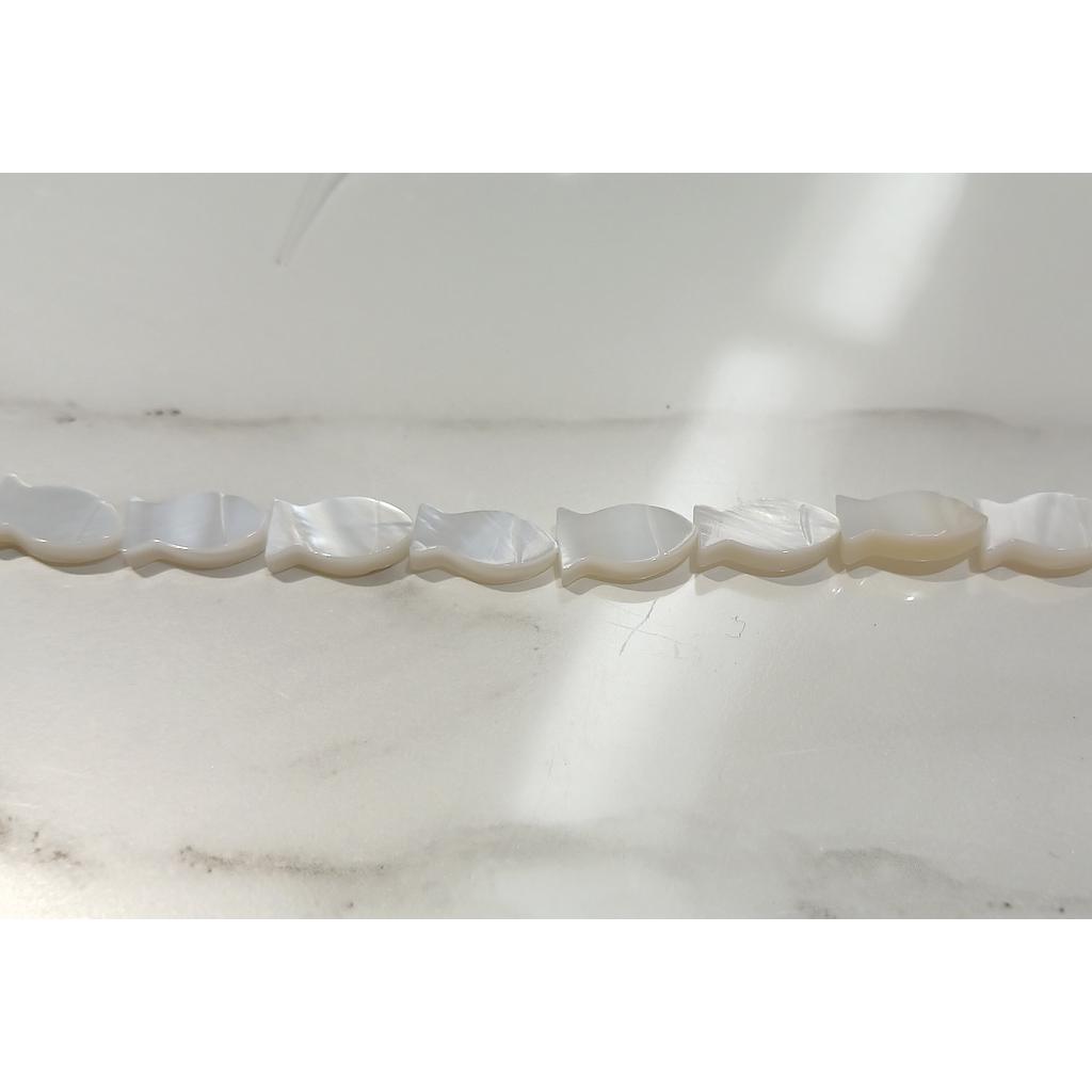 CONCHA NACAR PEZ 5X12MM