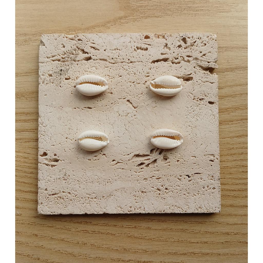 DIJES CONCHAS DE MAR DE CONCHA NACAR PAQUETE 100PCS