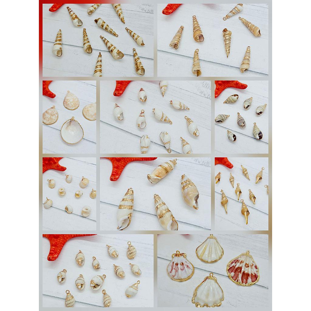 DIJES DE CONCHAS Y CARACOLES DE MAR DE CONCHA NACAR