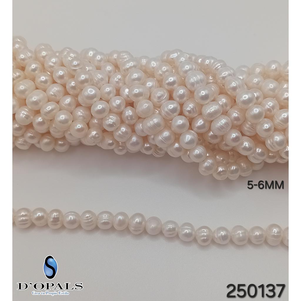 PERLA DE RIO 5-6MM 250137