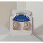 ARETES DE MICROCIRCONIA